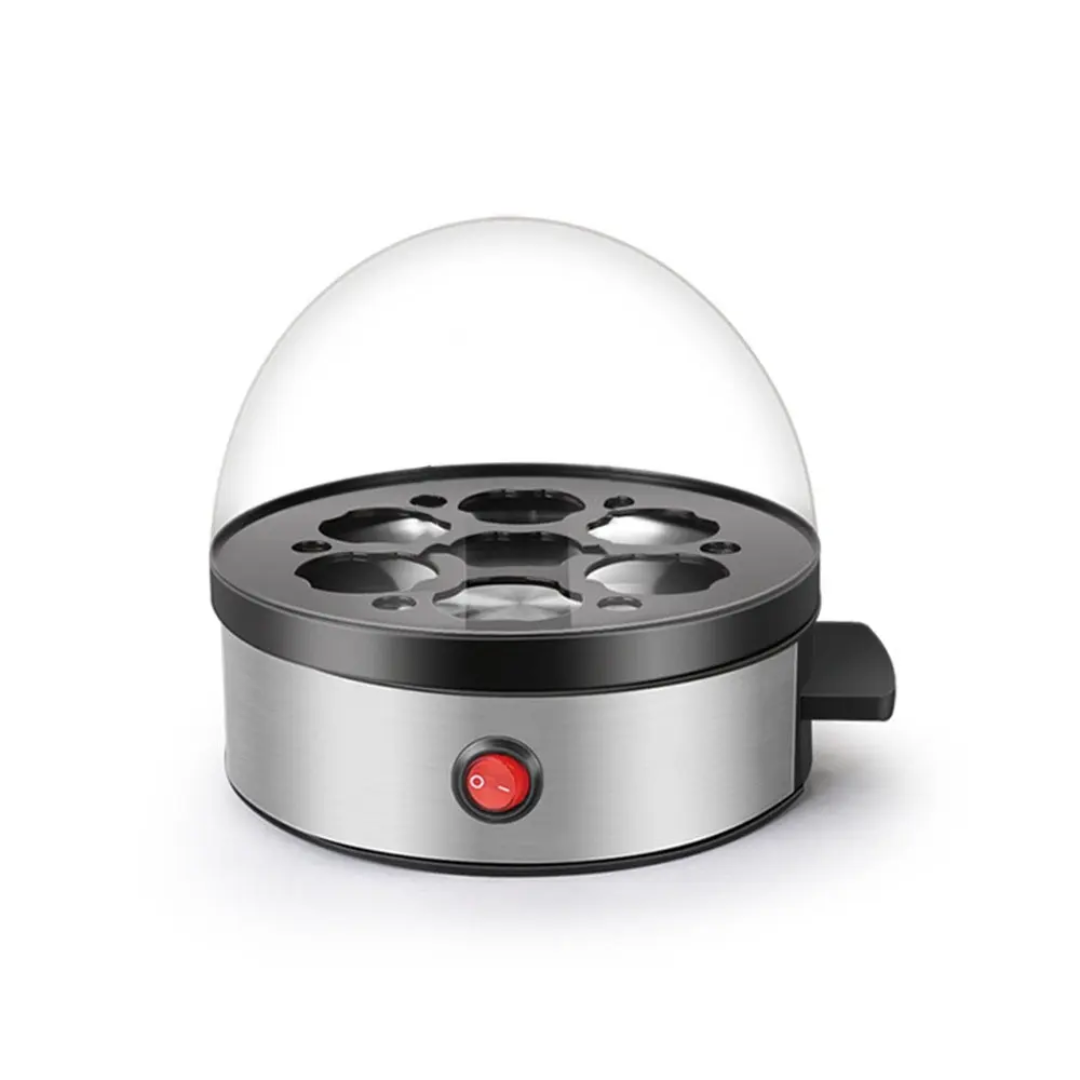 Lot Imported High Quality DSP Eggs Boiler